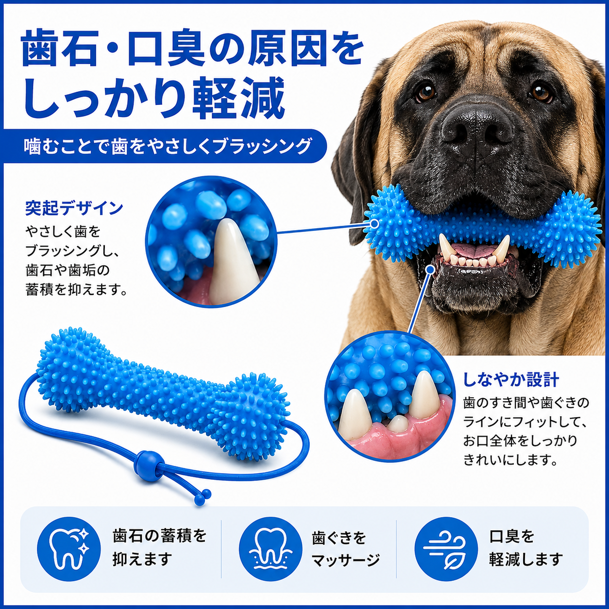 デュアルアクション 犬用デンタルケアトイ｜噛む＋ブラッシングをこれ1本で
