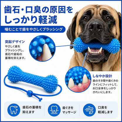 デュアルアクション 犬用デンタルケアトイ｜噛む＋ブラッシングをこれ1本で