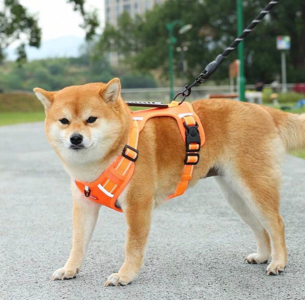 犬用タクティカル引っ張り防止ハーネス – 調節可能・反射機能・通気性抜群・コントロールハンドル付き